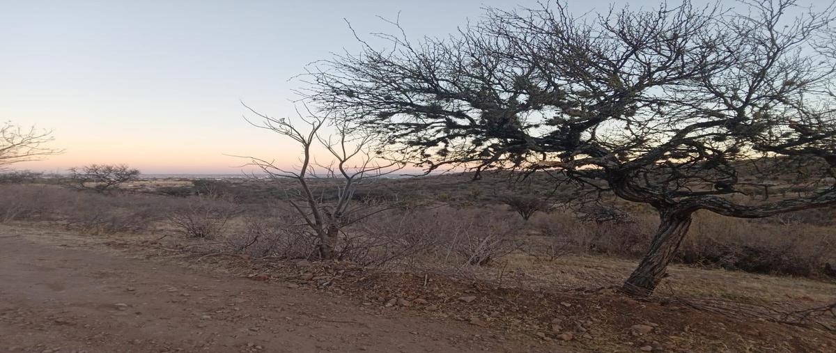 Foto de terreno habitacional en venta en  , los arquitos, jesús maría, aguascalientes, 0 No. 05