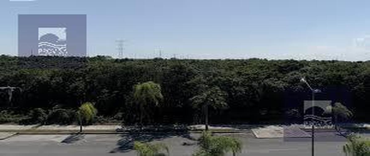 Foto de terreno habitacional en venta en  , los arrecifes, solidaridad, quintana roo, 30463435 No. 05