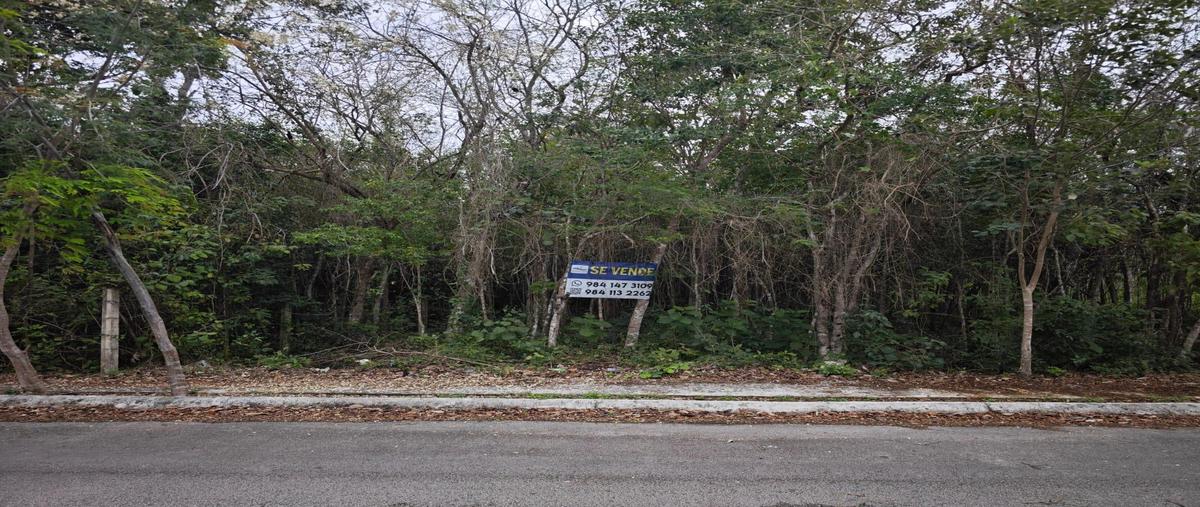 Foto de terreno habitacional en venta en  , los arrecifes, solidaridad, quintana roo, 31075688 No. 03