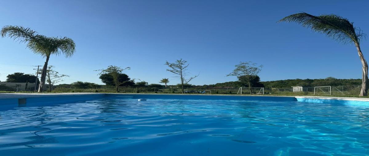 Foto de casa en venta en  , los arroyos (sección juárez), montemorelos, nuevo león, 0 No. 03