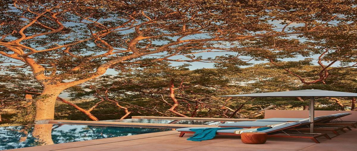 Foto de rancho en venta en  , los ayala, compostela, nayarit, 26546628 No. 04