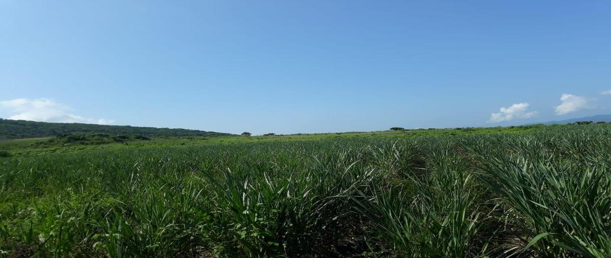 Foto de terreno comercial en venta en los bagres , crucero las pitas, ciudad valles, san luis potosí, 0 No. 05