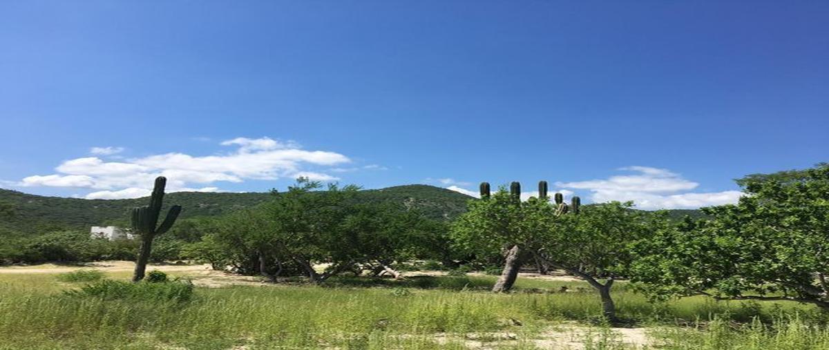 Foto de terreno habitacional en venta en  , los barriles, la paz, baja california sur, 25517202 No. 04