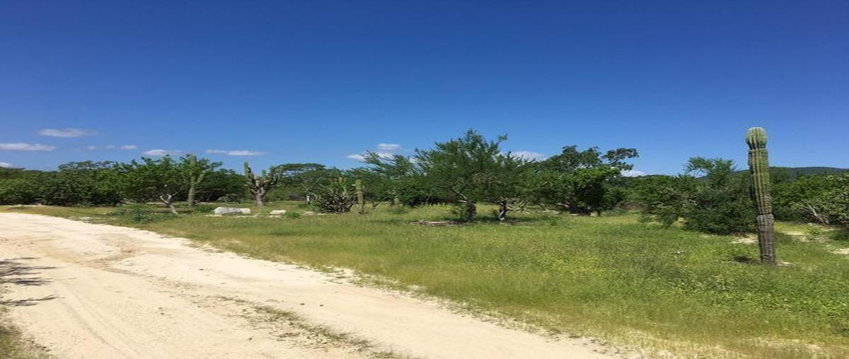 Foto de terreno habitacional en venta en  , los barriles, la paz, baja california sur, 25517202 No. 05