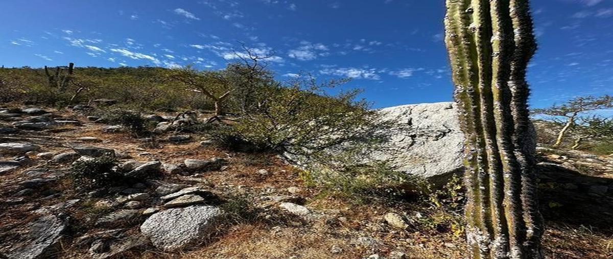 Foto de terreno habitacional en venta en  , los barriles, la paz, baja california sur, 25926728 No. 03