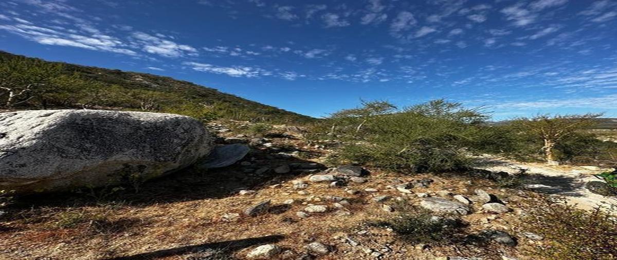 Foto de terreno habitacional en venta en  , los barriles, la paz, baja california sur, 25926728 No. 05