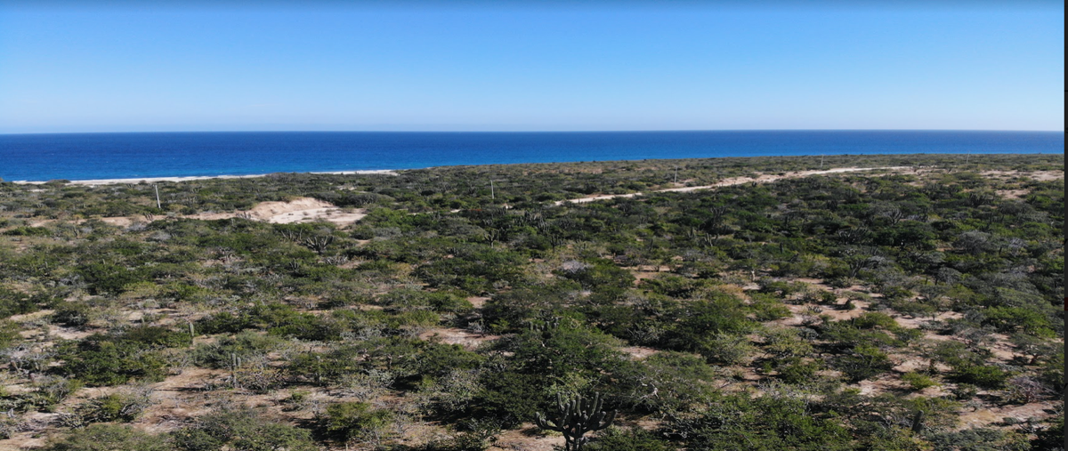 Foto de terreno habitacional en venta en  , los barriles, la paz, baja california sur, 27322191 No. 02