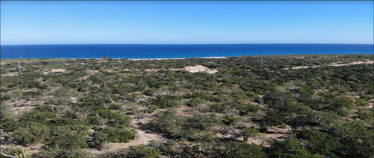 Foto de terreno habitacional en venta en  , los barriles, la paz, baja california sur, 27322191 No. 03