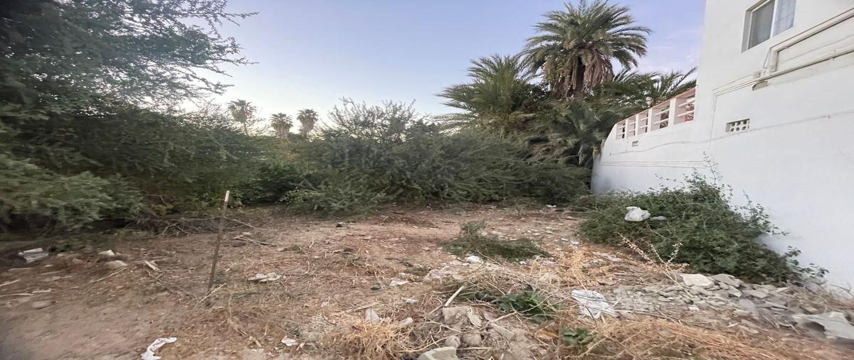 Foto de terreno habitacional en venta en  , los barriles, la paz, baja california sur, 0 No. 01