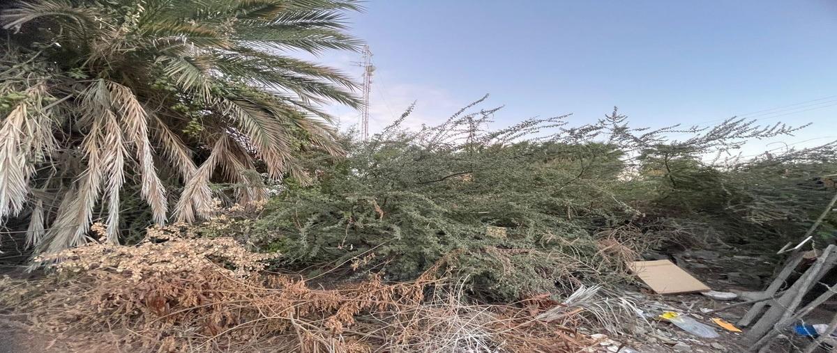 Foto de terreno habitacional en venta en  , los barriles, la paz, baja california sur, 0 No. 02