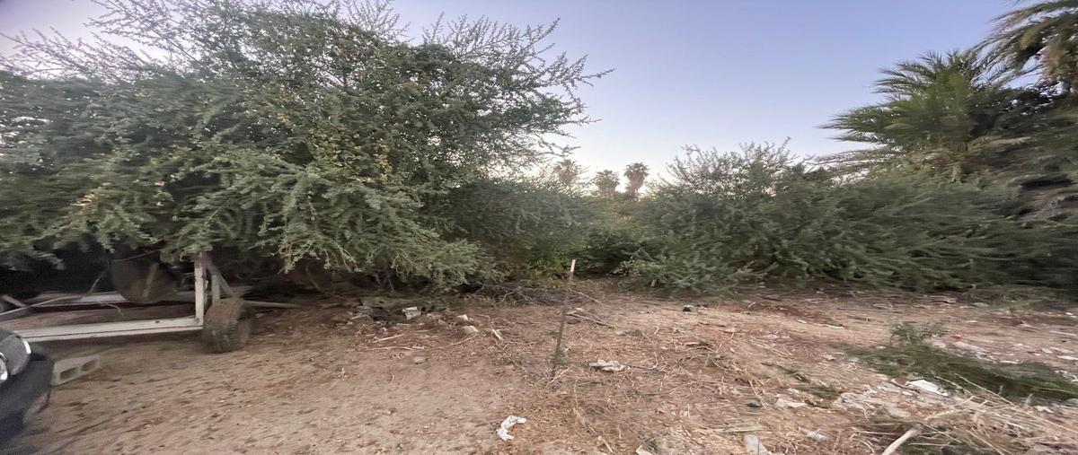 Foto de terreno habitacional en venta en  , los barriles, la paz, baja california sur, 0 No. 03