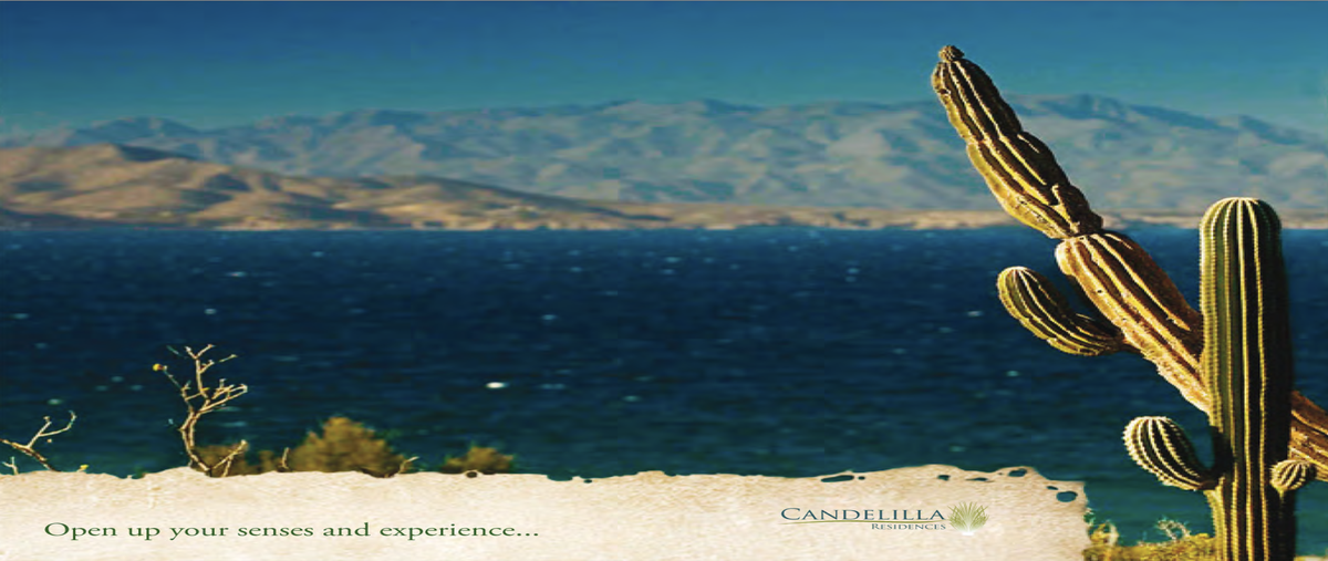Foto de terreno habitacional en venta en los barriles - santa teresa , los barriles, la paz, baja california sur, 28023310 No. 08