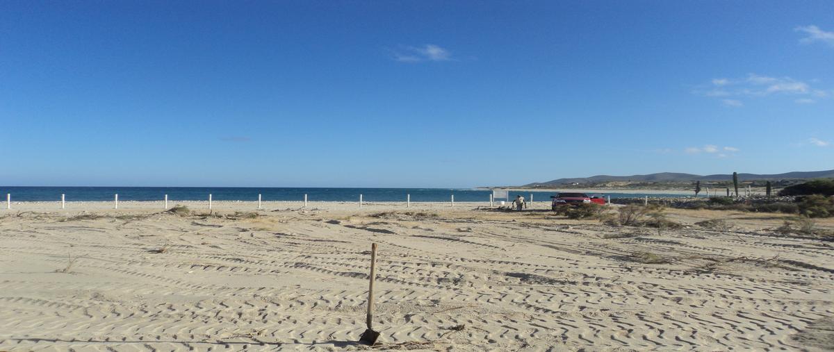 Foto de terreno habitacional en venta en los barriles - santa teresa , los barriles, la paz, baja california sur, 28023310 No. 10