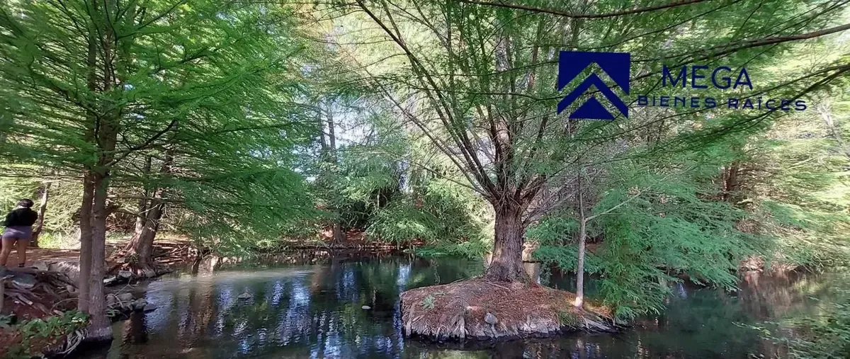 Foto de terreno habitacional en venta en los berros , ojo de agua los berros (los berros), nombre de dios, durango, 0 No. 04