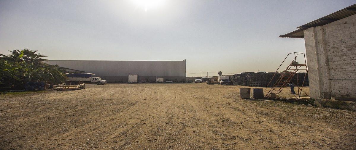 Foto de nave industrial en renta en  , los cajetes, zapopan, jalisco, 30846865 No. 04