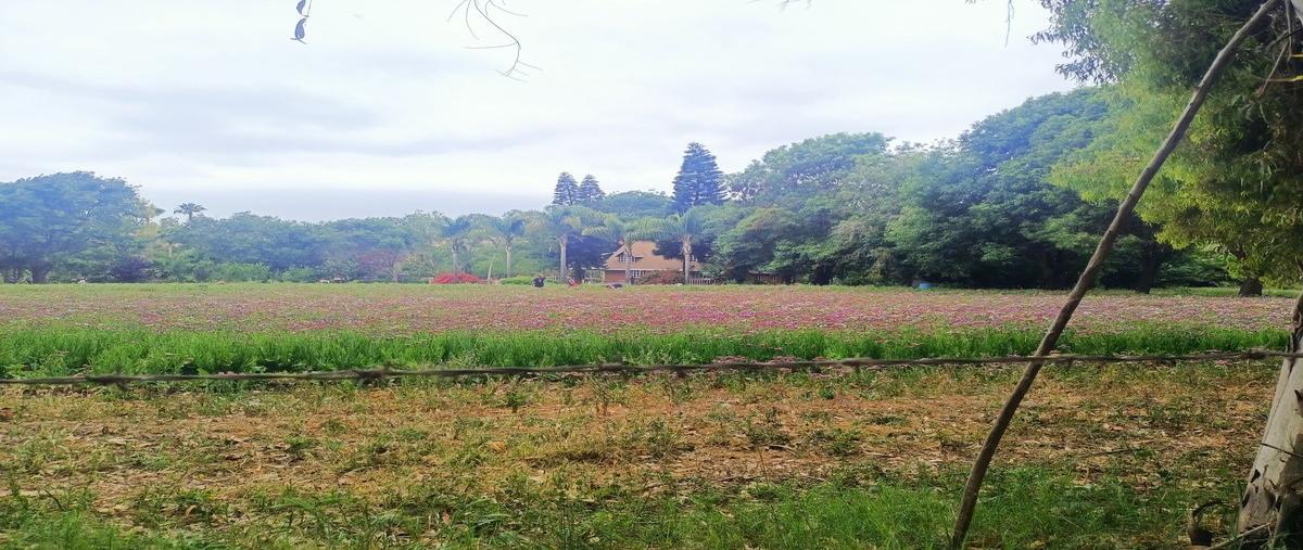 Foto de terreno habitacional en venta en los cañaverales , primo tapia, playas de rosarito, baja california, 29965460 No. 05