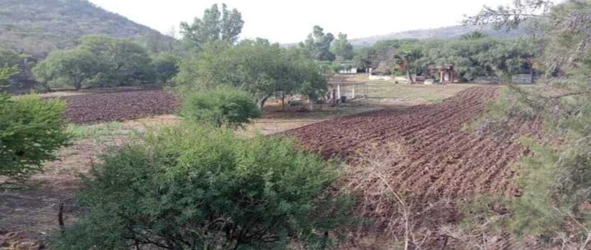Foto de rancho en venta en los caños , el picacho, aguascalientes, aguascalientes, 0 No. 03