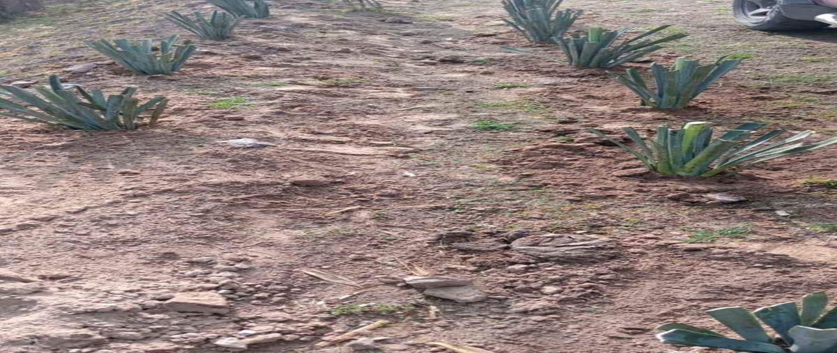 Foto de rancho en venta en los caños , el picacho, aguascalientes, aguascalientes, 0 No. 05