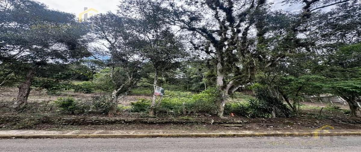 Foto de terreno habitacional en venta en  , los carriles, coatepec, veracruz de ignacio de la llave, 29816646 No. 03