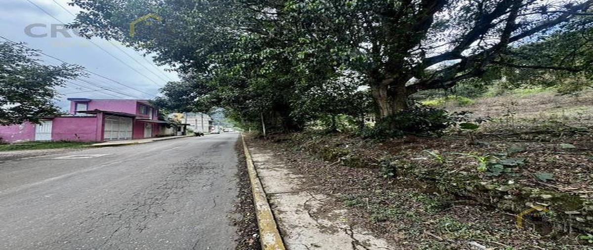 Foto de terreno habitacional en venta en  , los carriles, coatepec, veracruz de ignacio de la llave, 29816646 No. 04