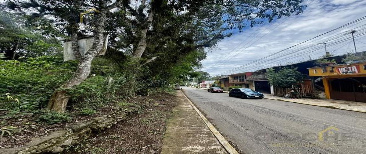 Foto de terreno habitacional en venta en  , los carriles, coatepec, veracruz de ignacio de la llave, 29816646 No. 05