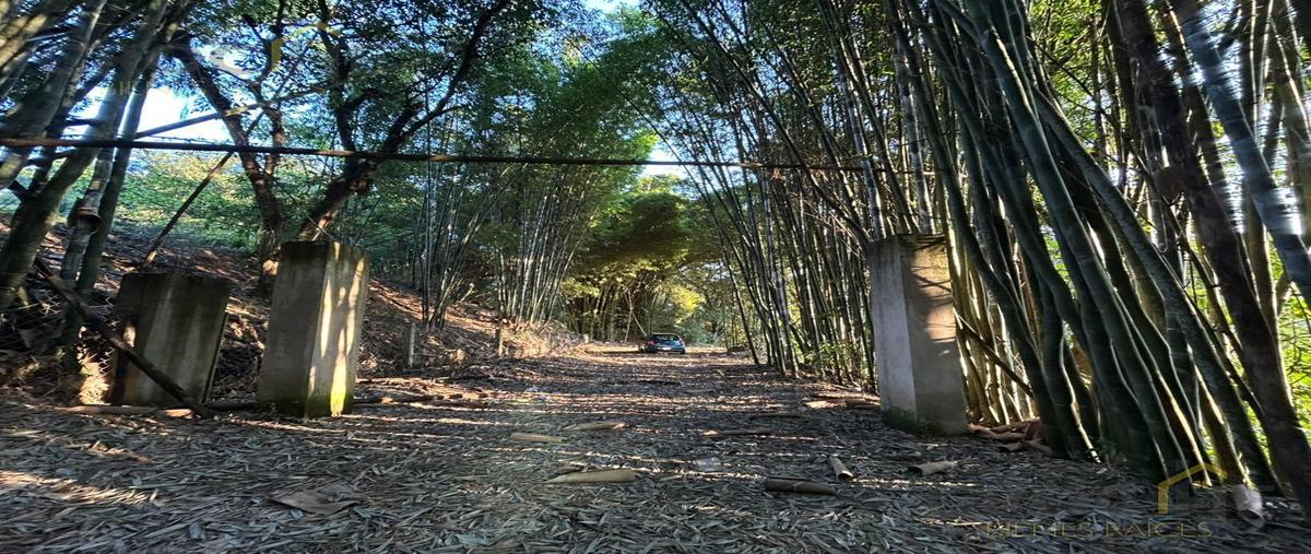 Foto de terreno habitacional en venta en  , los carriles, coatepec, veracruz de ignacio de la llave, 0 No. 03