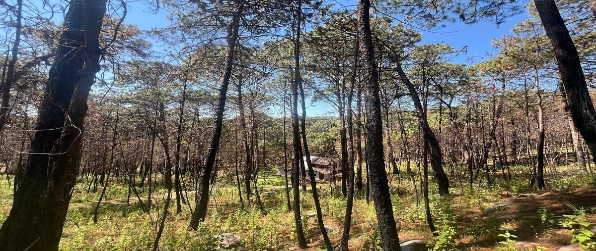 Foto de terreno habitacional en venta en los cazos , mazamitla, mazamitla, jalisco, 0 No. 04