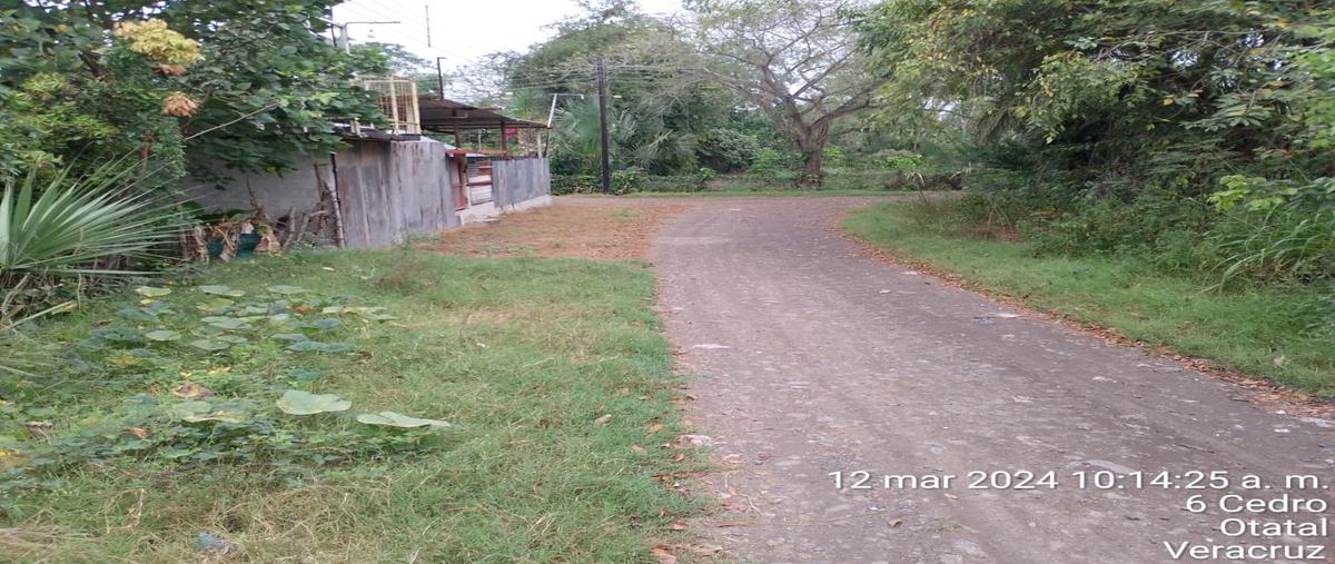 Foto de terreno habitacional en venta en los cedros , ejido 1, álamo temapache, veracruz de ignacio de la llave, 30793331 No. 03