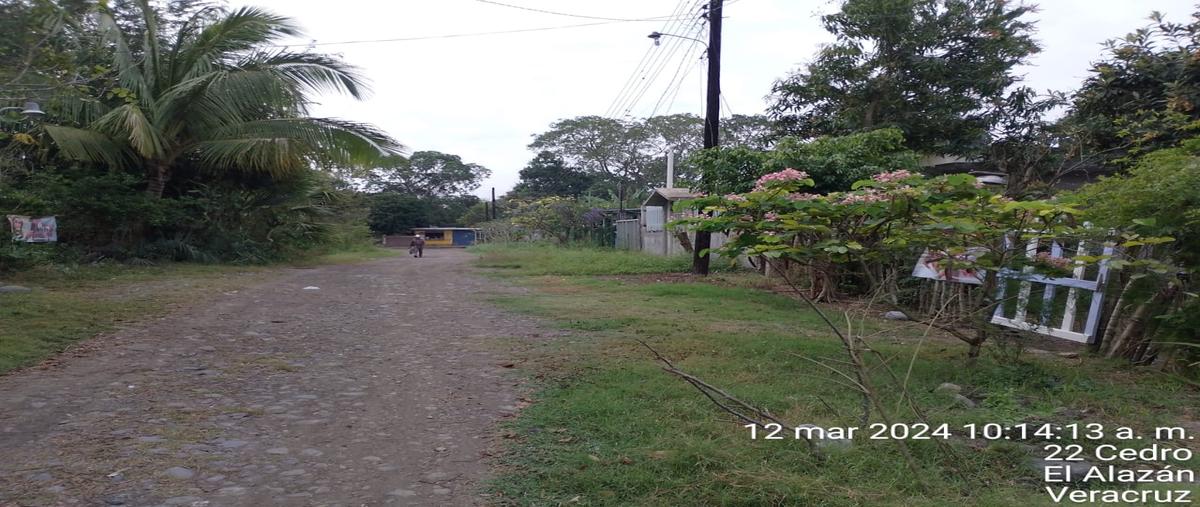 Foto de terreno habitacional en venta en los cedros , ejido 1, álamo temapache, veracruz de ignacio de la llave, 30793336 No. 03