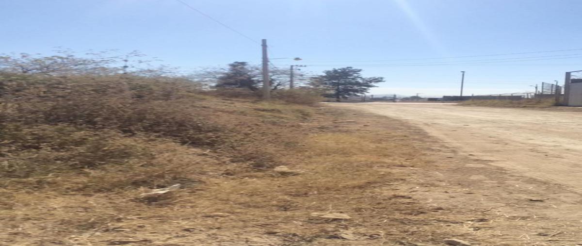 Foto de terreno habitacional en venta en los cedros , santiago etla, san lorenzo cacaotepec, oaxaca, 23293327 No. 04