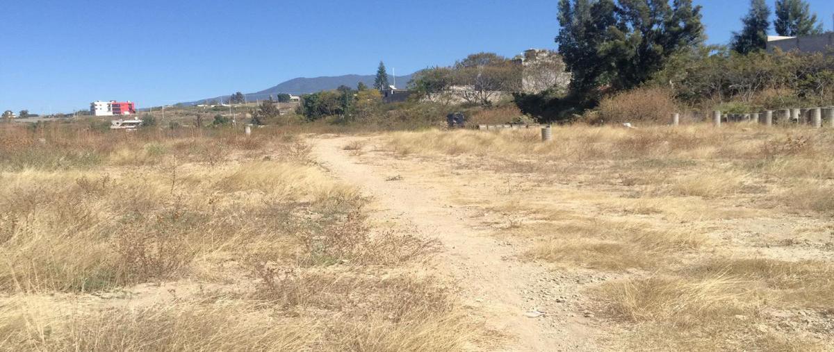 Foto de terreno habitacional en venta en los cedros , santiago etla, san lorenzo cacaotepec, oaxaca, 23293327 No. 05