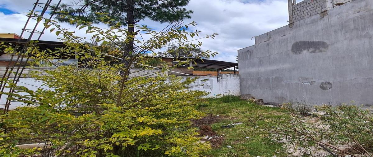 Foto de terreno habitacional en venta en los cerezos 10, maría auxiliadora, san cristóbal de las casas, chiapas, 0 No. 05