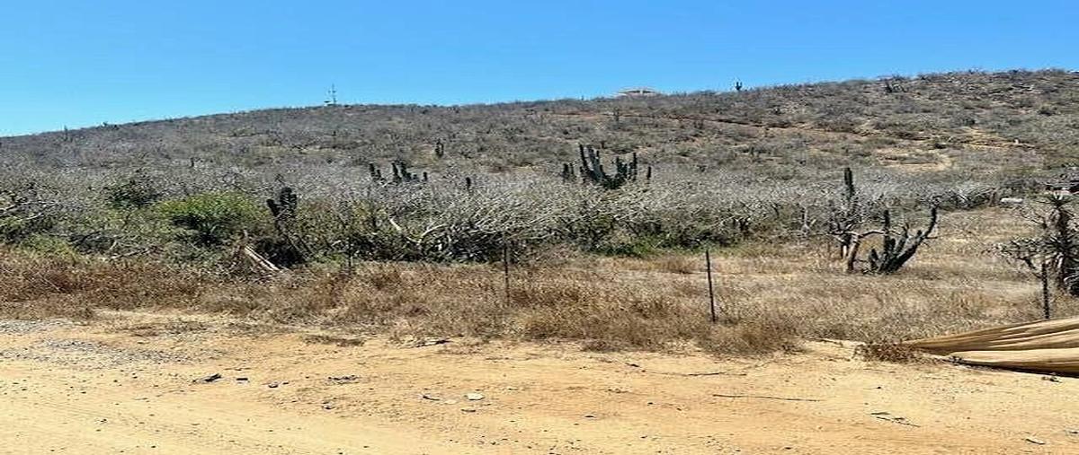 Foto de terreno habitacional en los cerritos , el pescadero, la paz, baja california sur, 0 foto 02 Foto de terreno habitacional en venta en los cerritos , el pescadero, la paz, baja california sur, 0 No. 02