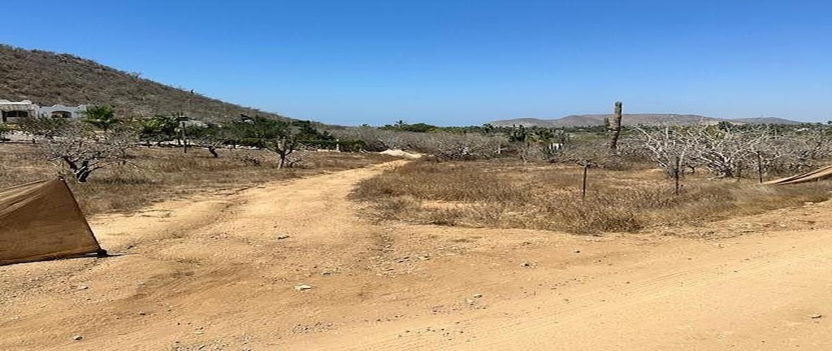 Foto de terreno habitacional en los cerritos , el pescadero, la paz, baja california sur, 0 foto 03 Foto de terreno habitacional en venta en los cerritos , el pescadero, la paz, baja california sur, 0 No. 03