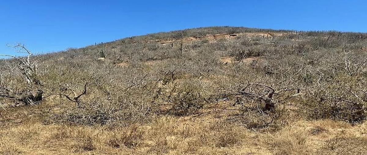 Foto de terreno habitacional en los cerritos , el pescadero, la paz, baja california sur, 0 foto 05 Foto de terreno habitacional en venta en los cerritos , el pescadero, la paz, baja california sur, 0 No. 05