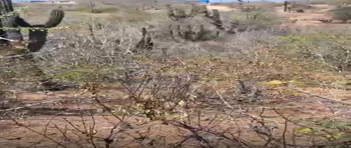 Foto de terreno habitacional en venta en  , los cerritos, la paz, baja california sur, 0 No. 03