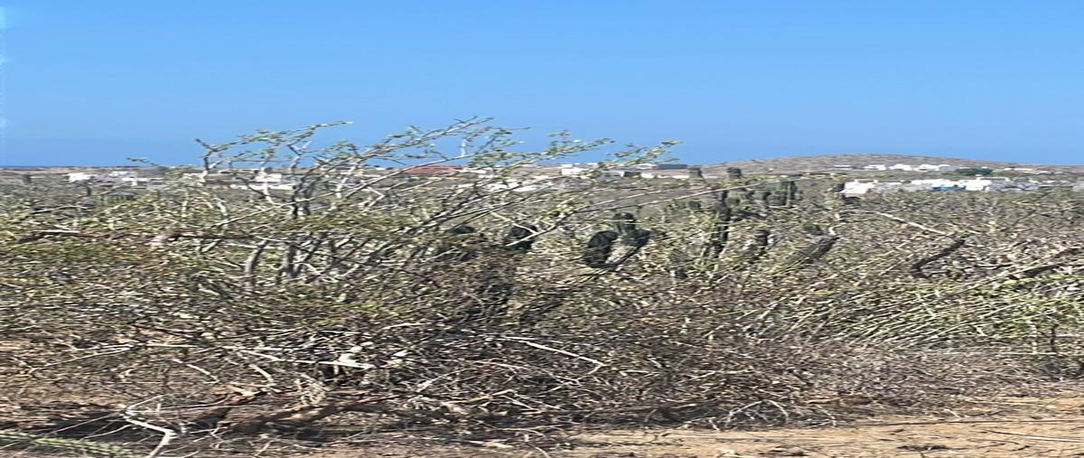 Foto de terreno habitacional en venta en  , los cerritos, la paz, baja california sur, 0 No. 04