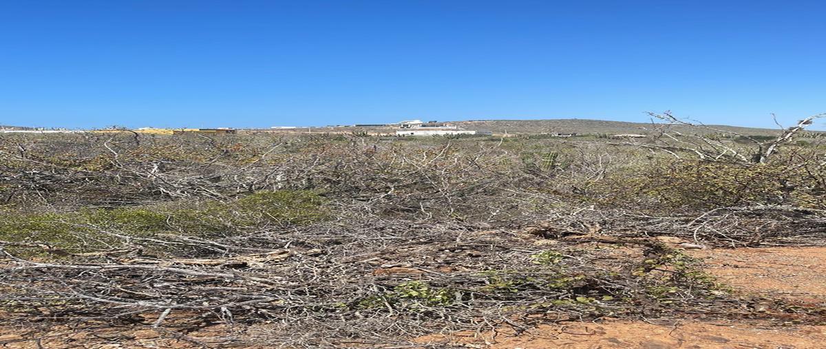 Foto de terreno habitacional en venta en  , los cerritos, la paz, baja california sur, 0 No. 05