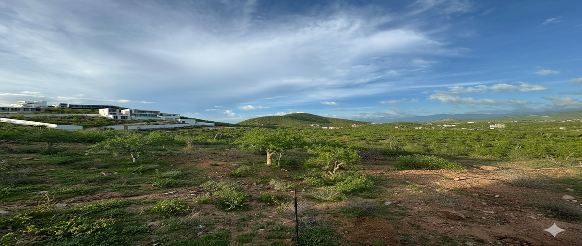 Foto de terreno habitacional en venta en  , los cerritos, la paz, baja california sur, 0 No. 01