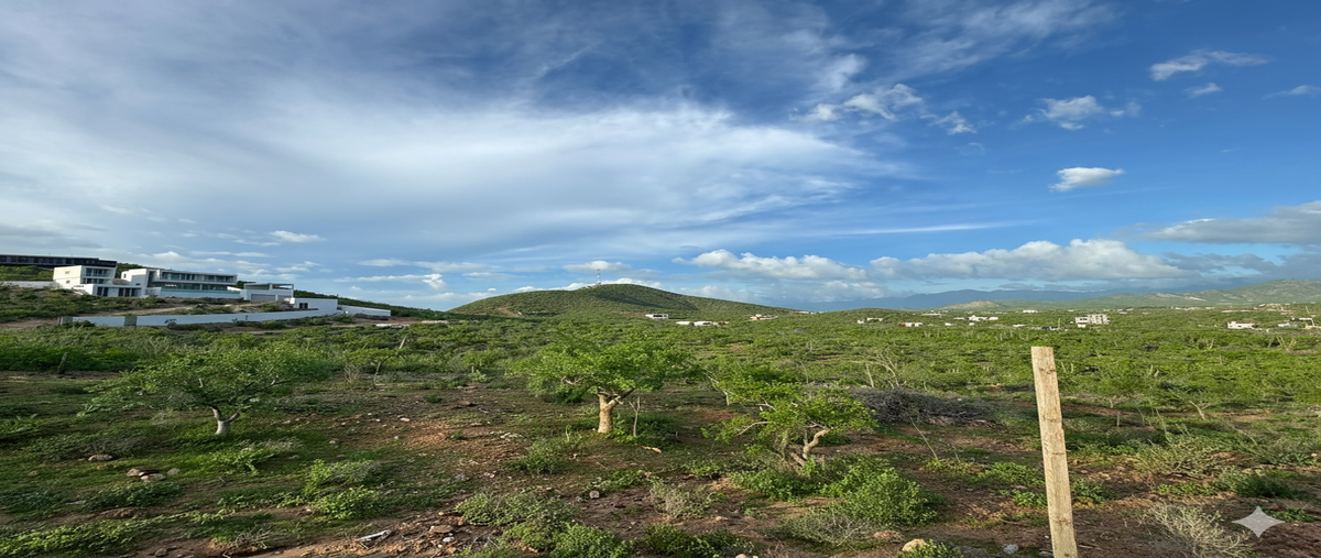 Foto de terreno habitacional en venta en  , los cerritos, la paz, baja california sur, 0 No. 03