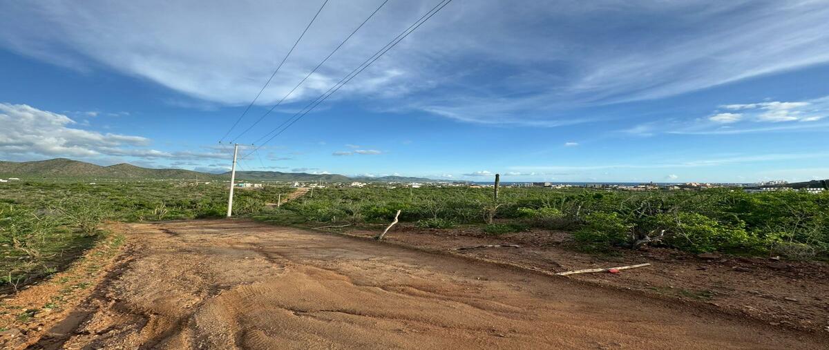 Foto de terreno habitacional en venta en  , los cerritos, la paz, baja california sur, 0 No. 04