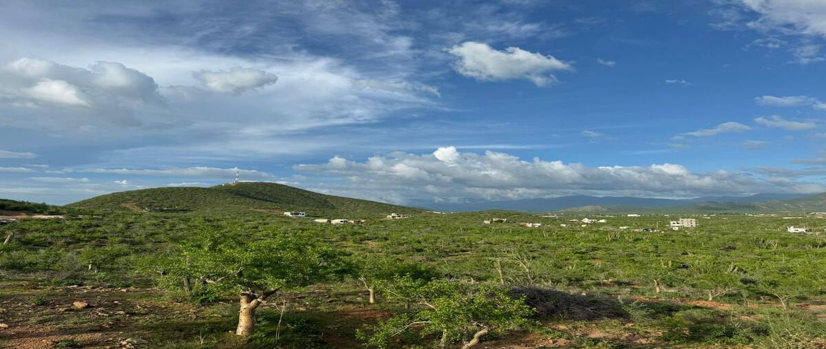 Foto de terreno habitacional en venta en  , los cerritos, la paz, baja california sur, 0 No. 05
