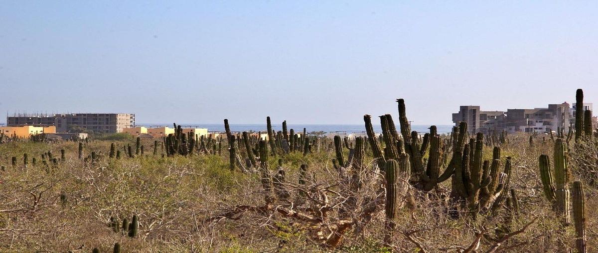 Foto de terreno habitacional en venta en  , los cerritos, la paz, baja california sur, 0 No. 03