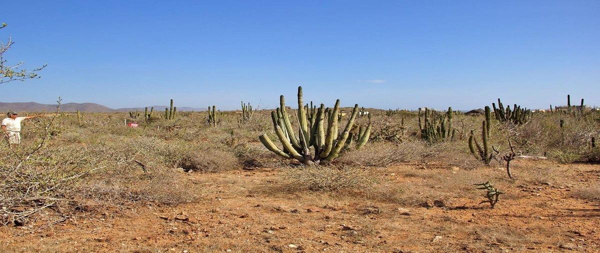 Foto de terreno habitacional en venta en  , los cerritos, la paz, baja california sur, 0 No. 04