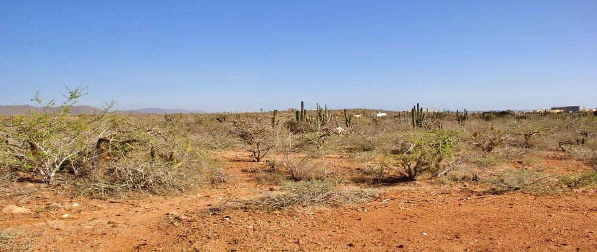 Foto de terreno habitacional en venta en  , los cerritos, la paz, baja california sur, 0 No. 05