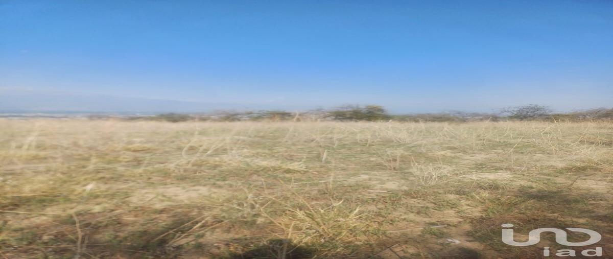 Foto de terreno habitacional en venta en los cerritos , san cristóbal tepatlaxco, san martín texmelucan, puebla, 30019363 No. 03