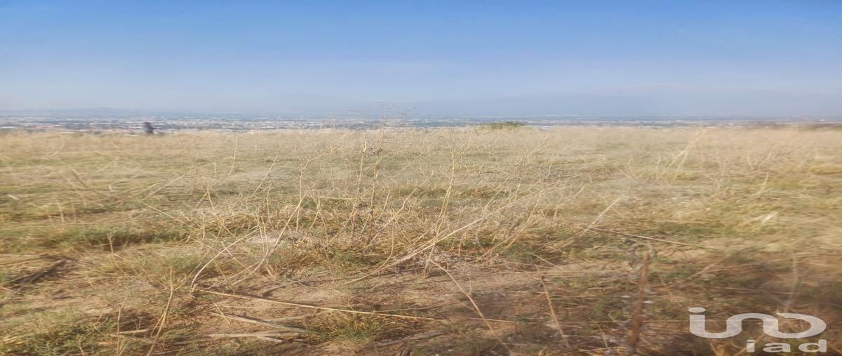 Foto de terreno habitacional en venta en los cerritos , san cristóbal tepatlaxco, san martín texmelucan, puebla, 30019363 No. 04