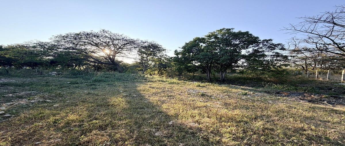 Foto de terreno habitacional en los cocos , loma bonita, tuxtla gutiérrez, chiapas, 30771950 foto 04 Foto de terreno habitacional en venta en los cocos , loma bonita, tuxtla gutiérrez, chiapas, 30771950 No. 04