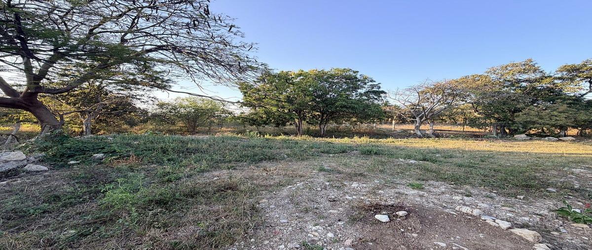 Foto de terreno habitacional en los cocos , loma bonita, tuxtla gutiérrez, chiapas, 30771950 foto 05 Foto de terreno habitacional en venta en los cocos , loma bonita, tuxtla gutiérrez, chiapas, 30771950 No. 05