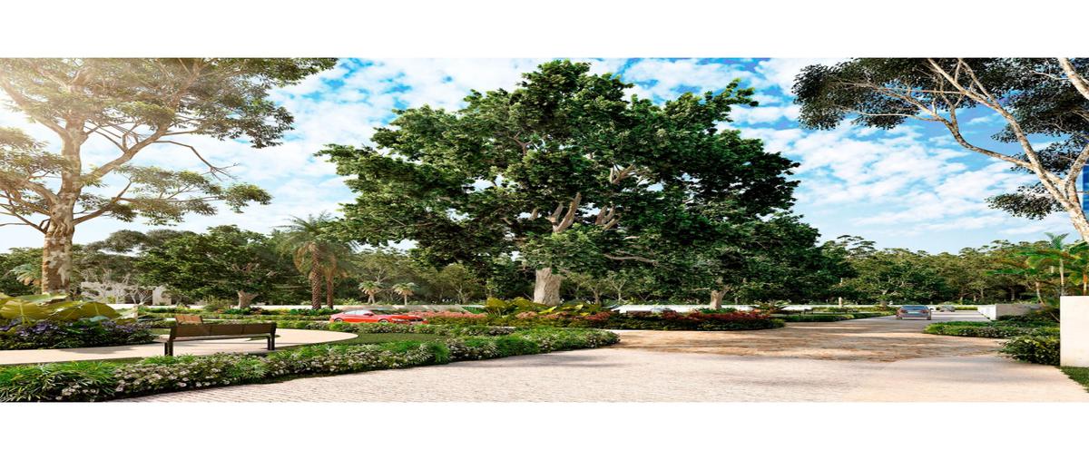 Foto de terreno habitacional en venta en  , los cocos, mérida, yucatán, 25903340 No. 05